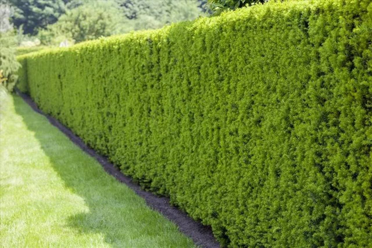 Landschaftspflege